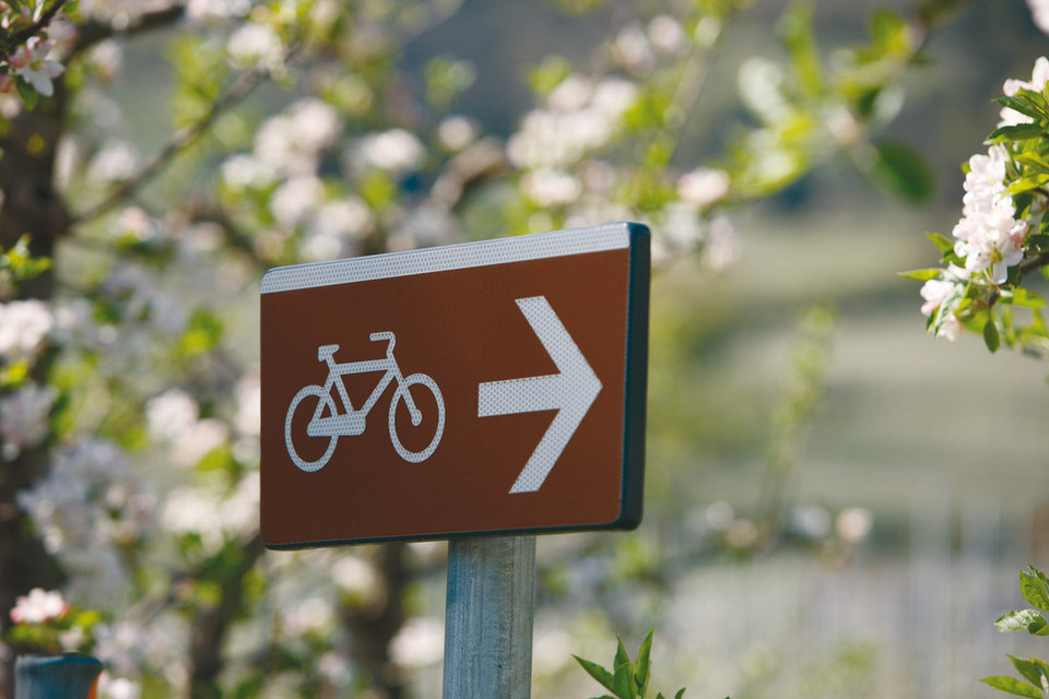 Approvata la legge per lo sviluppo della mobilità ciclistica