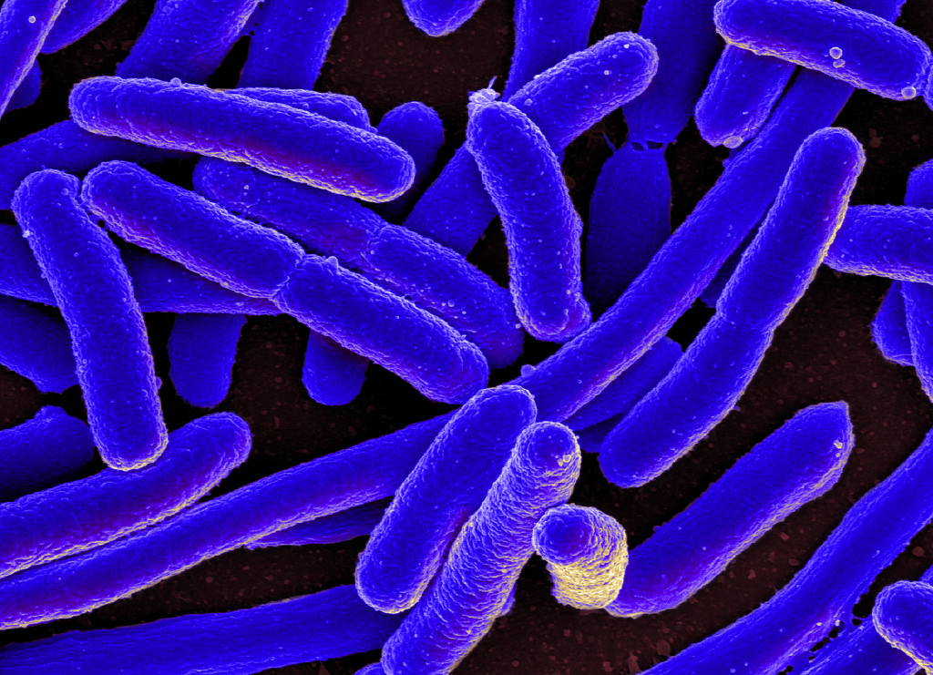 L’antibiotico-resistenza, un piano dell’Unione Europea su come combatterla.