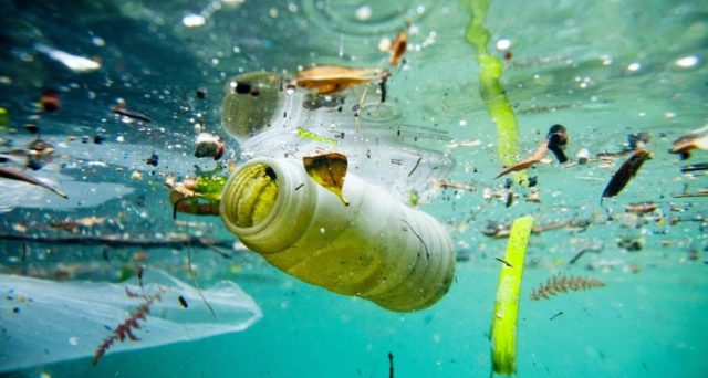 L'Europa stoppa la plastica monouso dal 2021 per salvare il mare