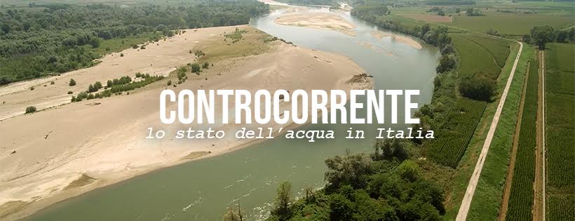 Un docufilm a impatto zero: 300 alberi piantati nel Parco del Po (VC) per compensare le emissioni di 'Controcorrente'