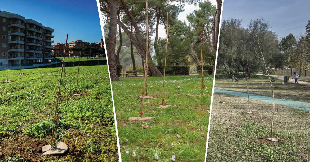 Valorizzazione del patrimonio forestale pubblico attraverso la Campagna Mosaico Verde. Gli Enti pubblici si raccontano