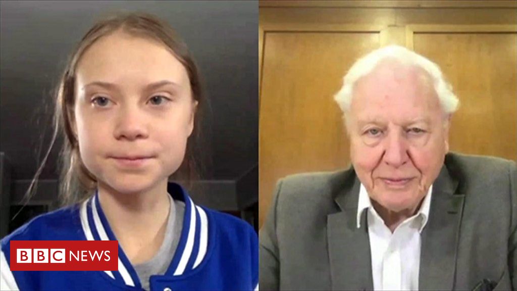 David Attenborough  a Greta Thumberg: Hai realizzato cose a cui molti di noi hanno lavorato per vent'anni senza riuscirci＂