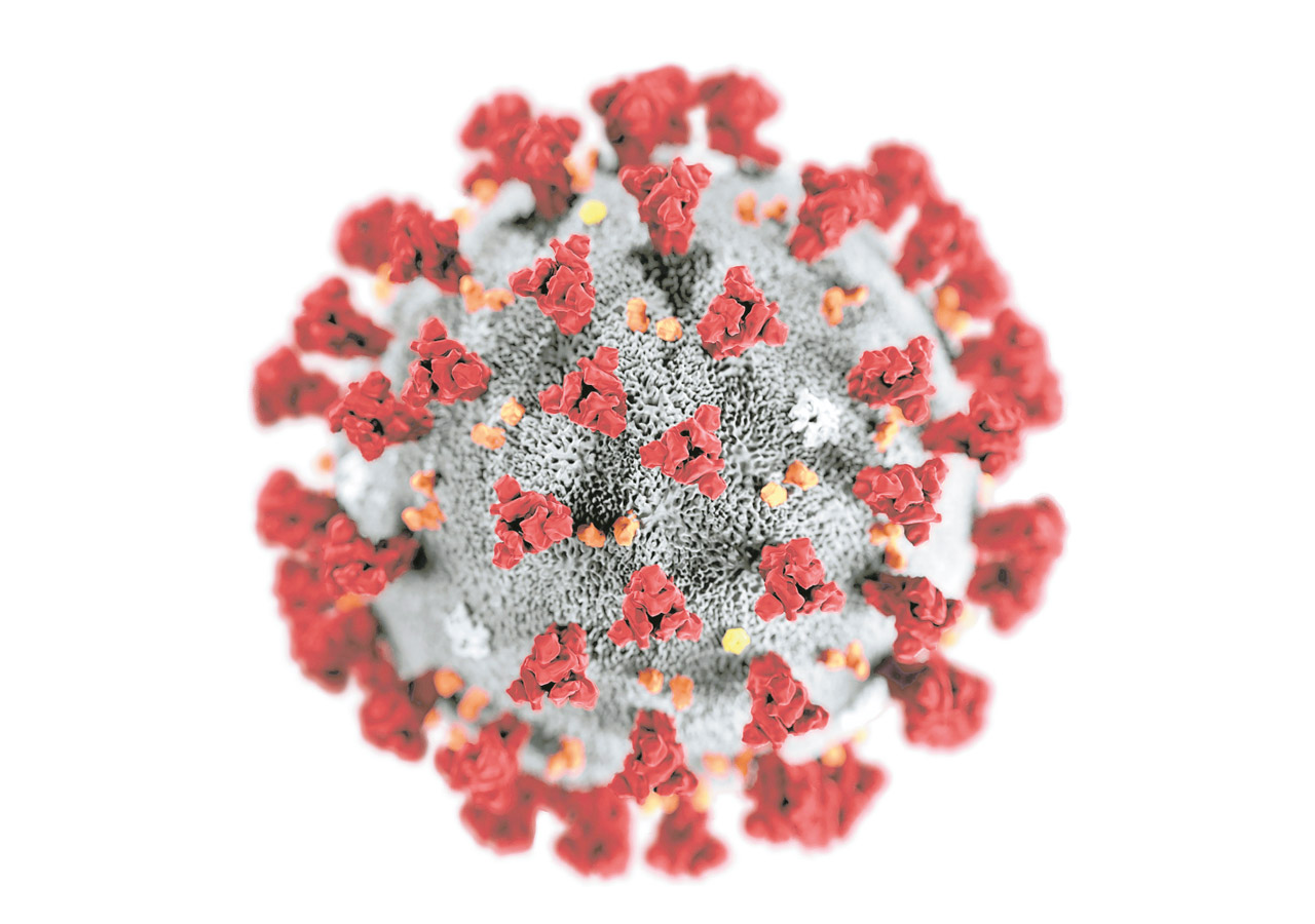 I ricercatori dell'Ospedale Sacco di Milano hanno isolato il ceppo italiano del coronavirus
