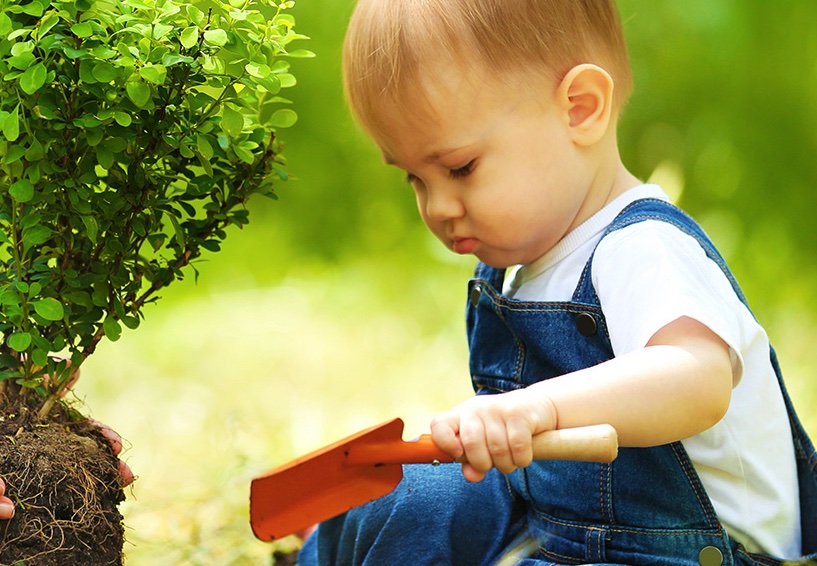 Mellin ha regalato alle famiglie di Torino 3 mila alberi