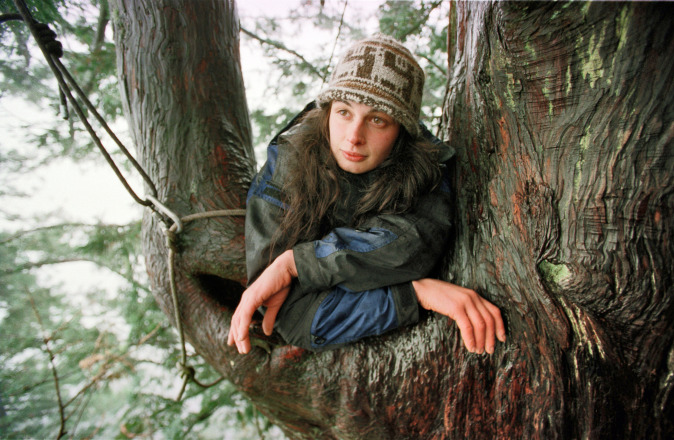 Julia Butterfly Hill, la ragazza sull'albero