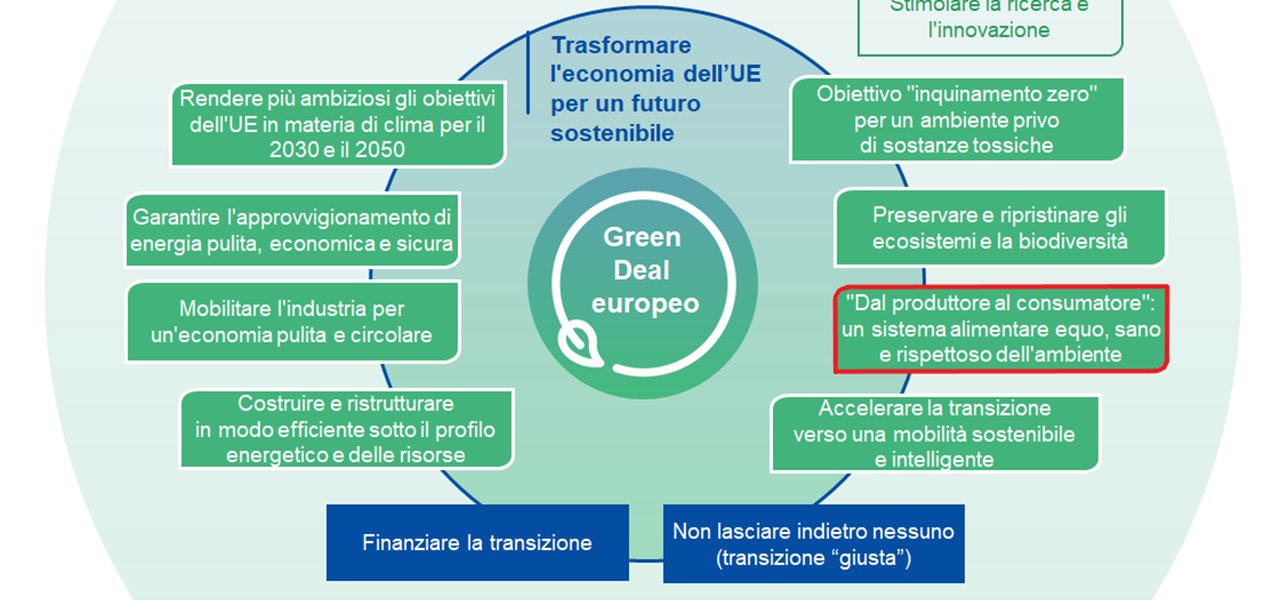 Approvato il Green Deal europeo: obiettivo tagliare le emissioni del 55% entro il 2030