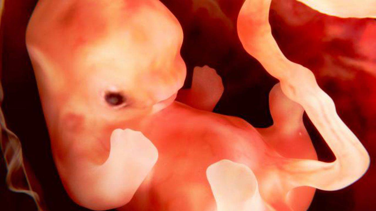 Provata la presenza di microplastiche nella placenta umana