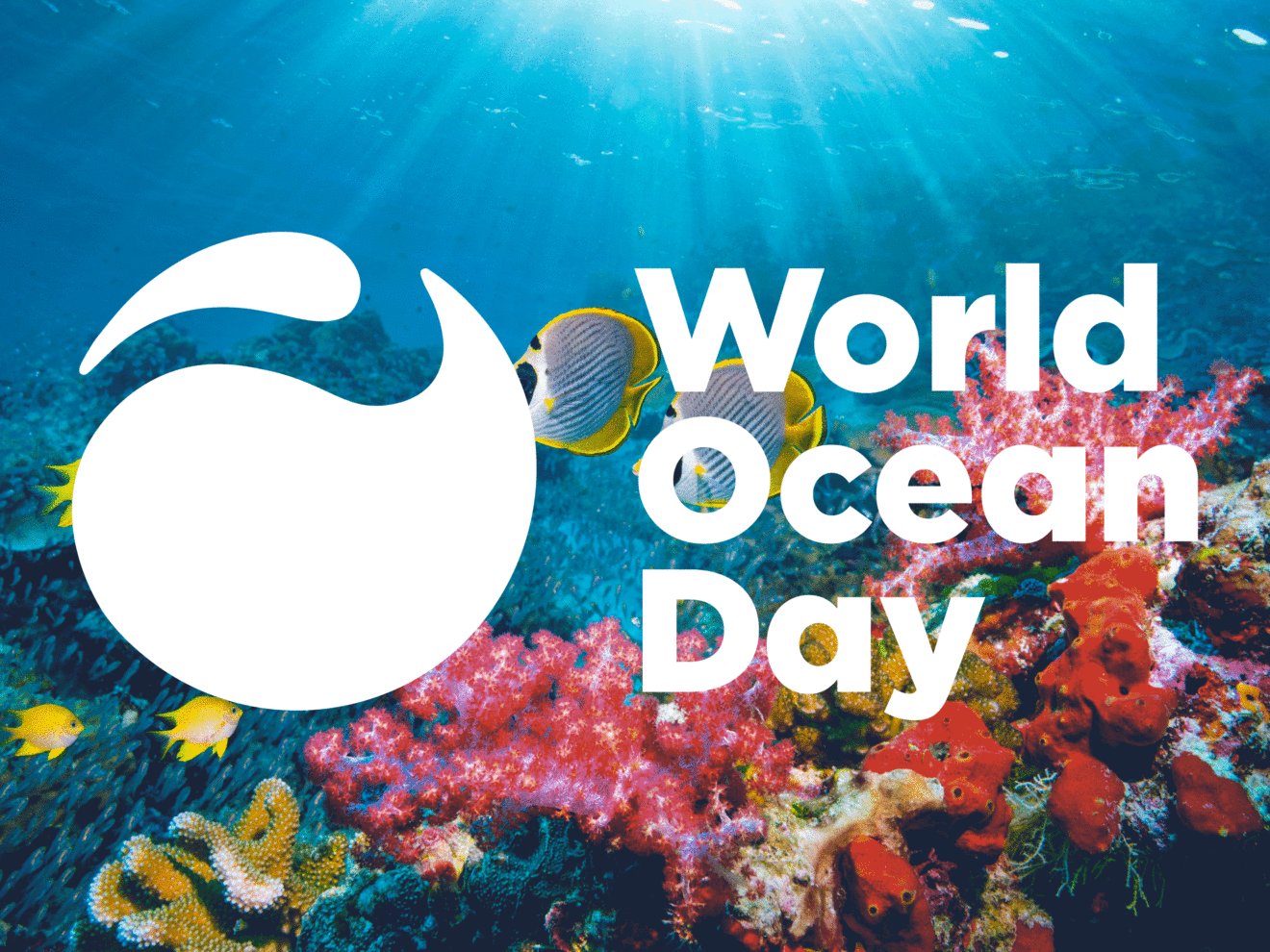 Tutti gli eventi della Giornata Mondiale degli Oceani - World Ocean Day  2021