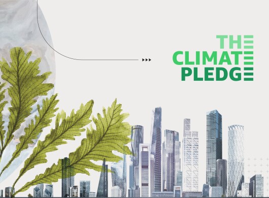 Climate Pledge: le aziende per raggiungere l'obiettivo di zero emissioni nette entro il 2040