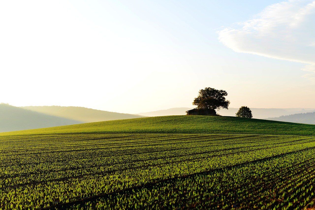 Via libera del Parlamento europeo a una nuova legge contro greenwashing e informazioni ingannevoli