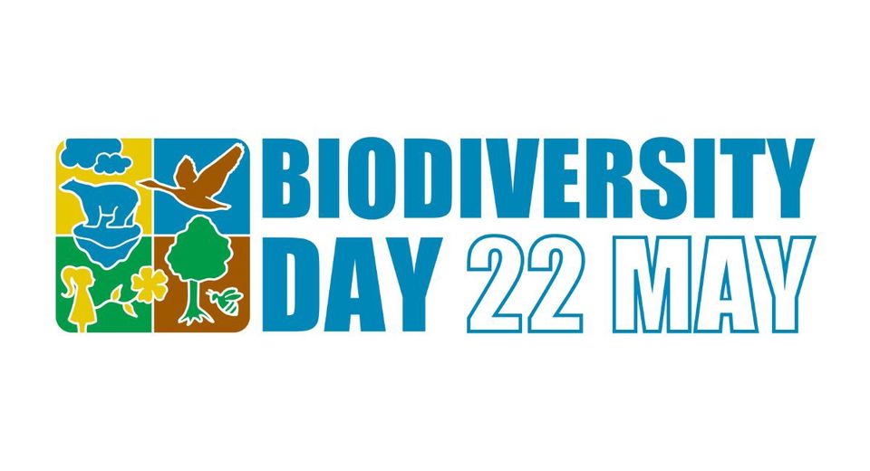 22 maggio la giornata mondiale della biodiversità: Il nostro cibo, la nostra salute e la nostra biodiversità