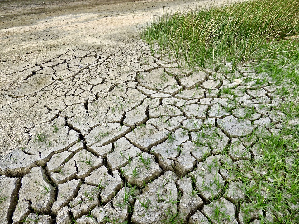 Gli ultimi otto anni sono stati i più caldi mai registrati a livello globale