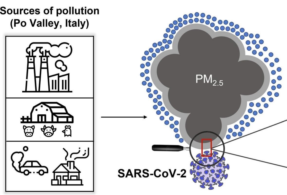 Uno studio di Roma Tor Vergata e dell'Enea dimostra che la presenza del virus Covid ha una relazione con le polveri sottili PM2.5
