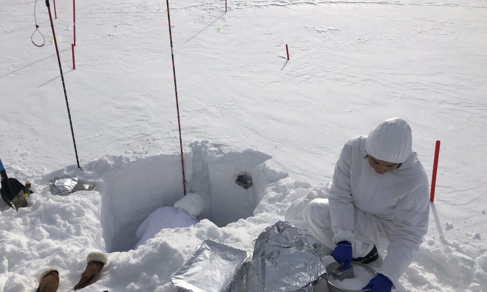 Attività di campionamento di neve a Ny-Ålesund, Isole Svalbard Crediti: F. Scoto, CNR - Unive