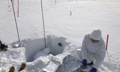 Attività di campionamento di neve a Ny-Ålesund, Isole Svalbard Crediti: F. Scoto, CNR - Unive