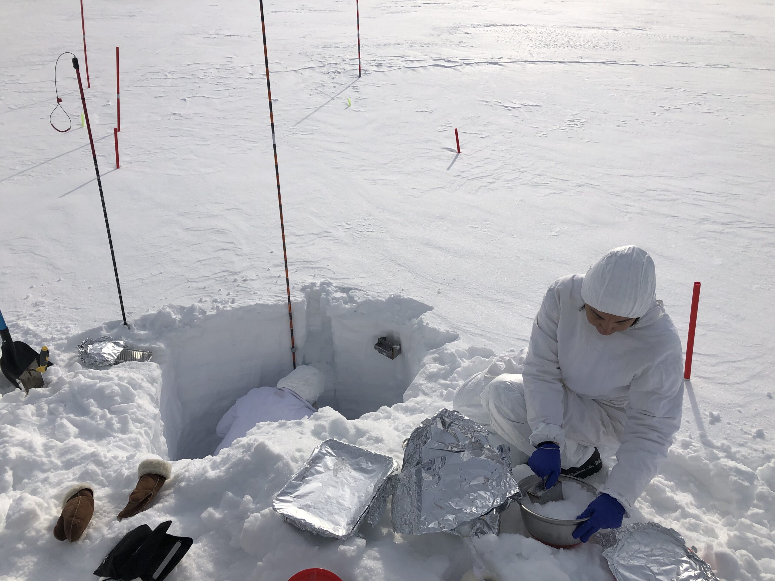 Attività di campionamento di neve a Ny-Ålesund, Isole Svalbard Crediti: F. Scoto, CNR - Unive