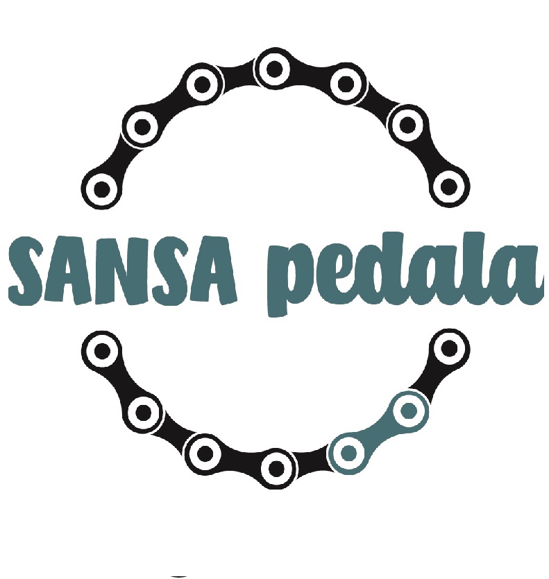 SanSa pedala per promuovere la mobilità sostenibile nel quartiere di San Salvario a Torino